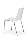 DUO FRAME CHAIR 4L W